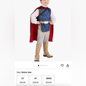 Prince Charming 18m costume